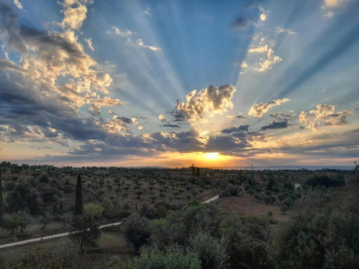 Al Recanto Do Sol Torres Novas Zewnętrze zdjęcie