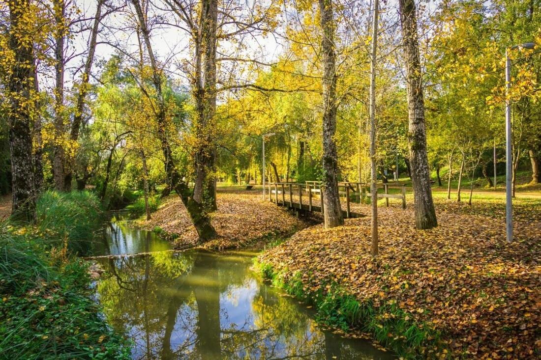 Al Recanto Do Sol Torres Novas Zewnętrze zdjęcie
